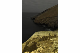 fot. Thomas P. Peschak, National Geographic, "Ghosts of Guano Islands", 3. miejsce w kategorii Enviromnent.

Zdjęcia archiwalne zestawione ze współczesnymi obrazami Islas Ballestas (Guano Islands), gdzie 19-wiecznie zbiory guana doprowadziły do dramatycznego zmniejszenia się populacji ptaków morskich. Teraz populacja ta powoli się odradza. Guano jako nawóz zyskało na popularności w XIX wieku, a głównym jego źródłem były peruwiańskie wyspy. Boom skończył się wraz z wprowadzeniem w XX wieku nawozów na bazie amoniaku, jednak do tej pory pory populacja ptaków zdążyła drastycznie się skurczyć. Dziś pozyskiwanie guana odbywa się raz na 10 lat, odbywa się w różnych lokalizacjach i dokonywane jest pod obserwacją osób odpowiedzialnych za ochronę przyrody.