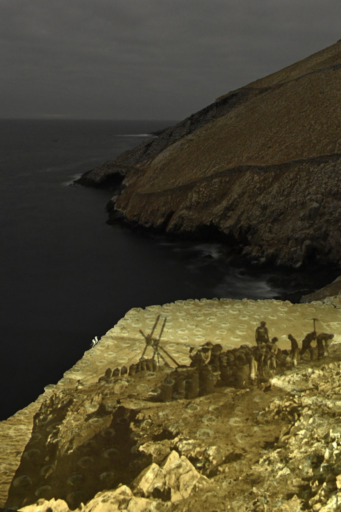 fot. Thomas P. Peschak, National Geographic, "Ghosts of Guano Islands", 3. miejsce w kategorii Enviromnent.
Zdjęcia archiwalne zestawione ze współczesnymi obrazami Islas Ballestas (Guano Islands), gdzie 19-wiecznie zbiory guana doprowadziły do dramatycznego zmniejszenia się populacji ptaków morskich. Teraz populacja ta powoli się odradza. Guano jako nawóz zyskało na popularności w XIX wieku, a głównym jego źródłem były peruwiańskie wyspy. Boom skończył się wraz z wprowadzeniem w XX wieku nawozów na bazie amoniaku, jednak do tej pory pory populacja ptaków zdążyła drastycznie się skurczyć. Dziś pozyskiwanie guana odbywa się raz na 10 lat, odbywa się w różnych lokalizacjach i dokonywane jest pod obserwacją osób odpowiedzialnych za ochronę przyrody.