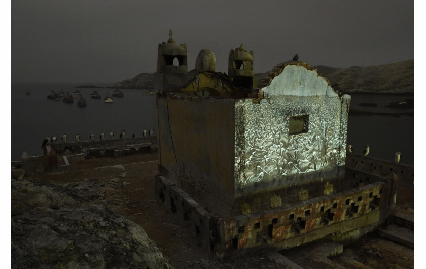 fot. Thomas P. Peschak, National Geographic, Ghosts of Guano Islands, 3. miejsce w kategorii Enviromnent.

Zdjęcia archiwalne zestawione ze współczesnymi obrazami Islas Ballestas (Guano Islands), gdzie 19-wiecznie zbiory guana doprowadziły do dramatycznego zmniejszenia się populacji ptaków morskich. Teraz populacja ta powoli się odradza. Guano jako nawóz zyskało na popularności w XIX wieku, a głównym jego źródłem były peruwiańskie wyspy. Boom skończył się wraz z wprowadzeniem w XX wieku nawozów na bazie amoniaku, jednak do tej pory pory populacja ptaków zdążyła drastycznie się skurczyć. Dziś pozyskiwanie guana odbywa się raz na 10 lat, odbywa się w różnych lokalizacjach i dokonywane jest pod obserwacją osób odpowiedzialnych za ochronę przyrody.