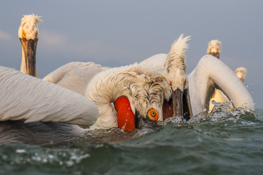 fot. Marcin Dobas