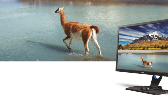  Wybierz jeden z monitorów do edycji BenQ SW i bezpłatnie przetestuj go przed zakupem