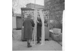 Sprzedaż łańcuchów choinkowych przy stoisku księgarskim "Domu Książki", Warszwa, 1972 / Narodowe Archiwum Cyfrowe
