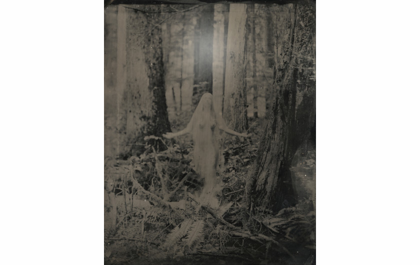 fot. Alexandra Black, z serii Datura's Secrets, główna nagroda w sekcji reportażowej / Monovisions Photography Awards 2023