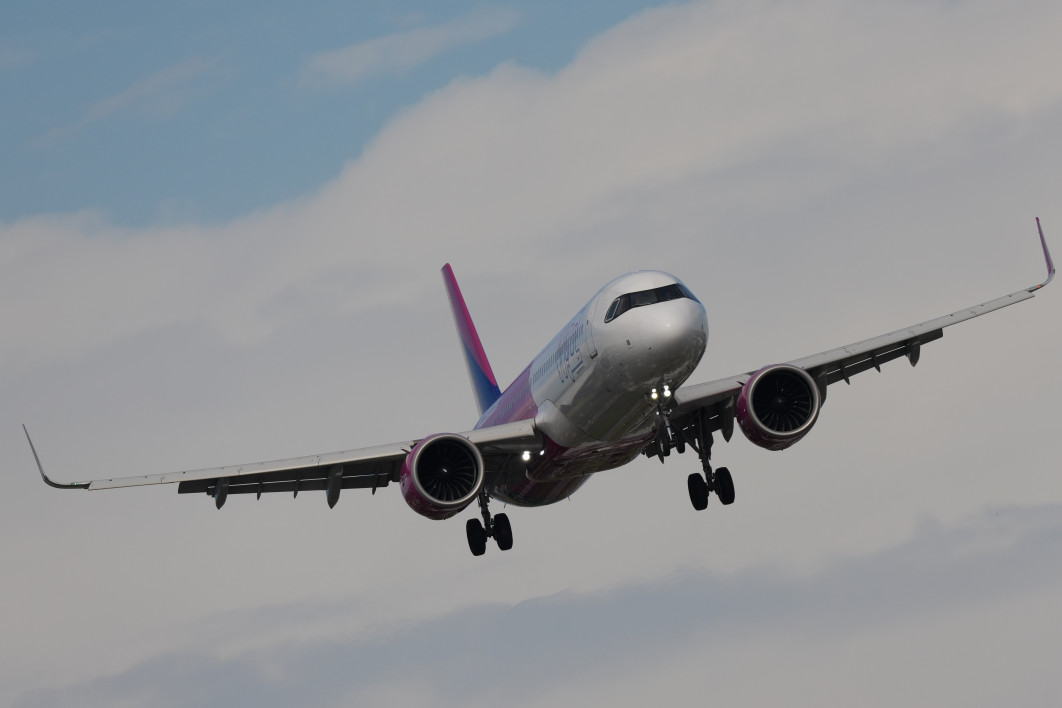 1/2500 s, f/8, ISO 400, 600 mm