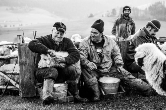 fot. Łukasz Kowalski, Z życia bacówki, III miejsce w konkursie Śląska Fotografia Prasowa