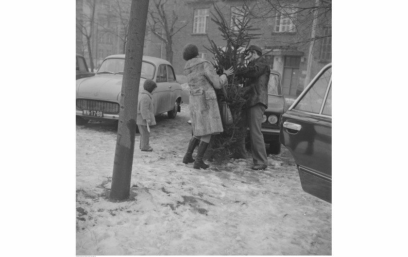 Mężczyzna i kobieta obwiązują sznurkiem choinkę. Widoczny samochód Syrena 105 i Fiat 125p. W tle kamienica przy ul. Polnej 48, Warszawa, 1976 / Narodowe Archiwum Cyfrowe