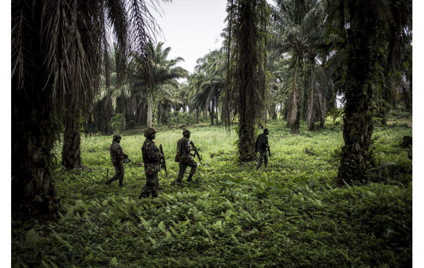 fot. John Wessels, Agence France-Presse, Fighting Ebola and Conflict, 3. miejsce w kategorii General News.

Beni w północno wschodnim Kongo targane jest konfliktem od 25 lat. W 2018 roku dotknięte zostało także epidemią Eboli. Szacuje się, że w regionie aktywnych jest około 100 uzbrojonych grup, które walczą z siłami rządowymi, misją stabilizacyjną ONZ siłami ADF i innymi rebeliami. W czasie epidemii walki przybrały na sile, a opanowanie jej w warunkach bojowych było praktycznie niemożliwe. W efekcie zanotowano niemal 700 zachorowań i ponad 460 zgonów. Była to druga co do wielkości epidemia w historii.