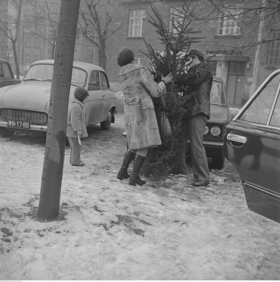 Mężczyzna i kobieta obwiązują sznurkiem choinkę. Widoczny samochód Syrena 105 i Fiat 125p. W tle kamienica przy ul. Polnej 48, Warszawa, 1976 / Narodowe Archiwum Cyfrowe