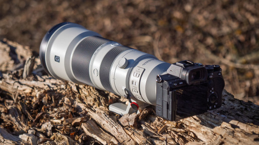 Sony FE 400-800 mm f/6.3-8 G OSS - pierwsze wrażenia i zdjęcia przykładowe (RAW)