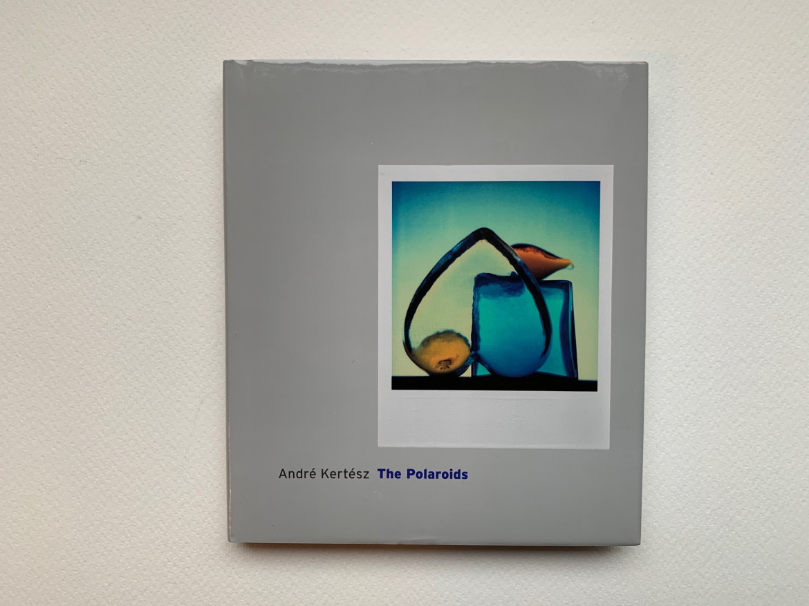 André Kertész, "Polaroids"