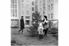 Punkt sprzedaży choinek na tyłach kamienicy przy ul. Śliskiej 52, Warszwa, 1972 / Narodowe Archiwum Cyfrowe