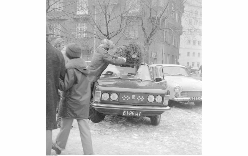 Mężczyzna mocuje choinkę na dachu samochodu osobowego Fiat 125p. Obok samochód Syrena 105, w tle kamienica przy ul. Polnej 52, Warszawa, 1976 / Narodowe Archiwum Cyfrowe