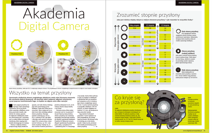 Jak działa aparat, Digital Camera Polska 2020