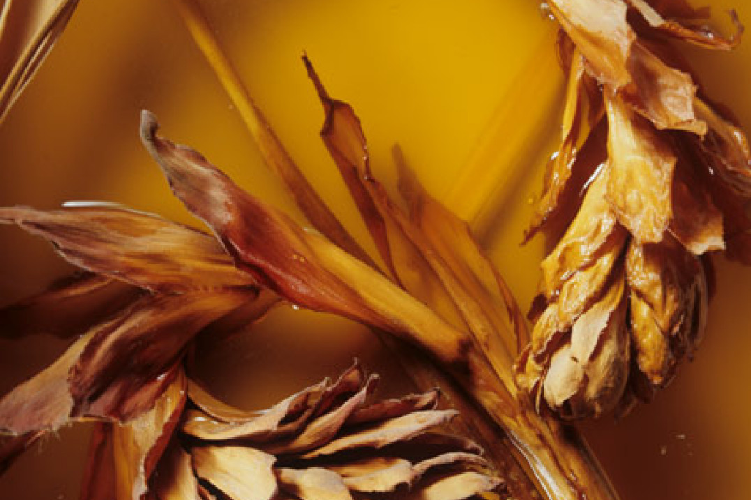 Spotkanie z Andrzejem Zygmuntowiczem w Zachęcie