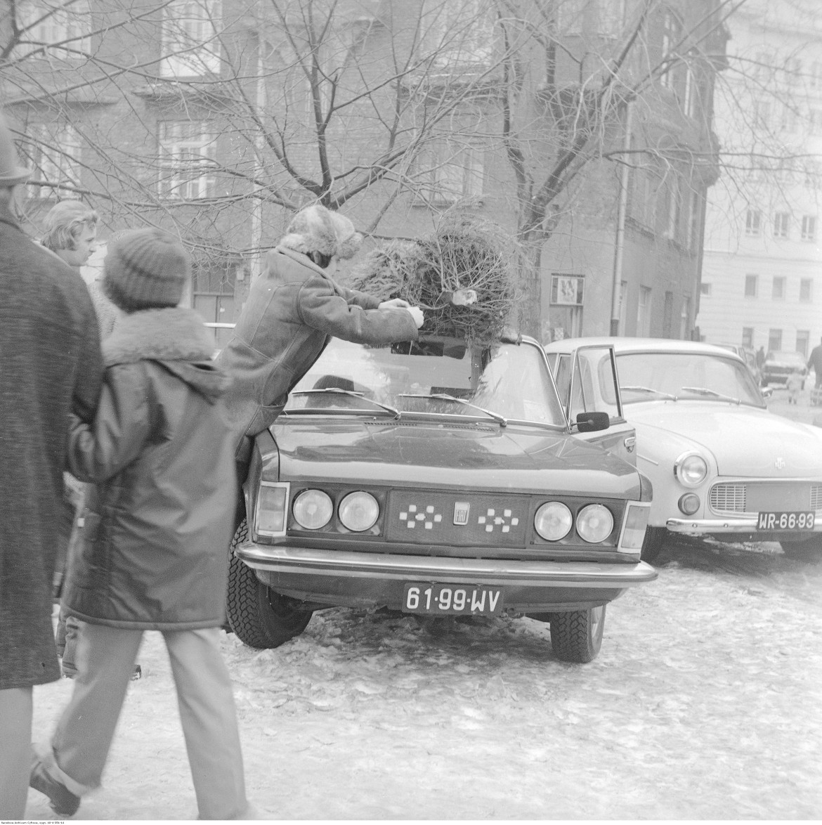 Mężczyzna mocuje choinkę na dachu samochodu osobowego Fiat 125p. Obok samochód Syrena 105, w tle kamienica przy ul. Polnej 52, Warszawa, 1976 / Narodowe Archiwum Cyfrowe