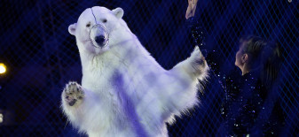 Wildlife Photographer of the Year 2020 - poznaliśmy wyniki najważniejszego konkursu przyrodniczego na świecie