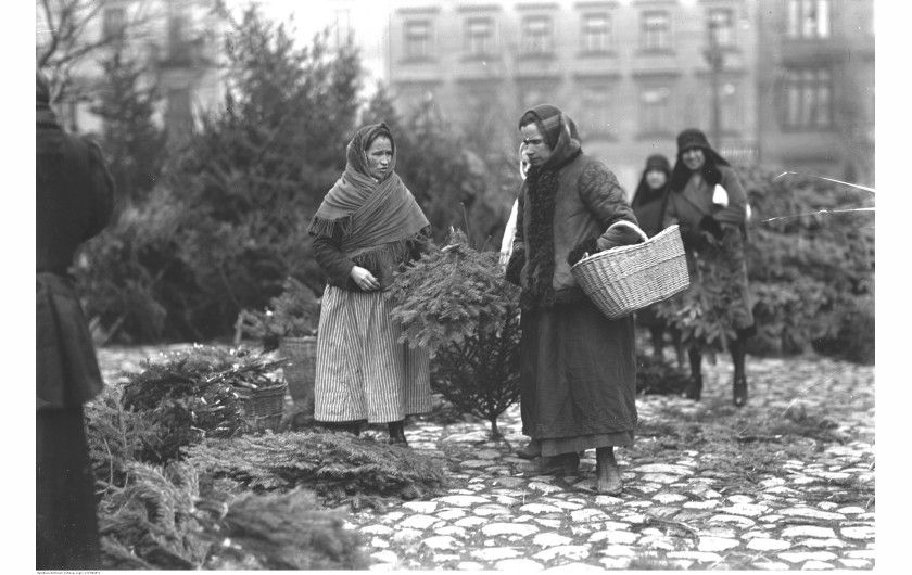 Sprzedaż choinek i gałązek choinkowych w Krakowie, 1927 / Narodowe Archiwum Cyfrowe