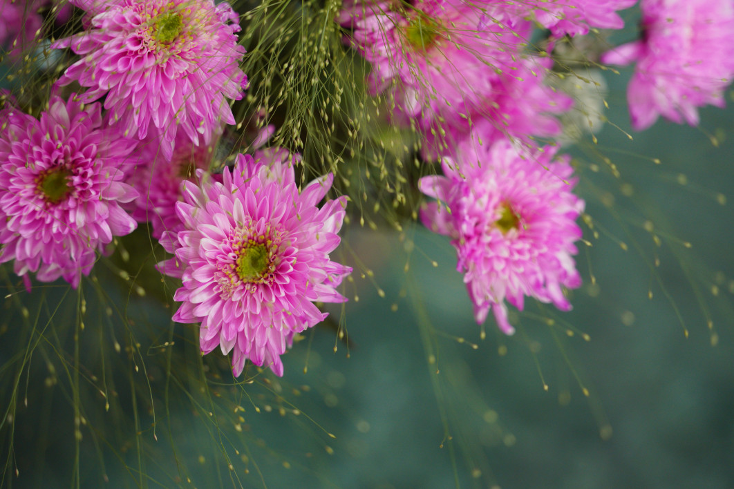 1/125 s, f/2.8, ISO 1600, 105 mm