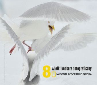 8. Wielki Konkurs Fotograficzny National Geographic