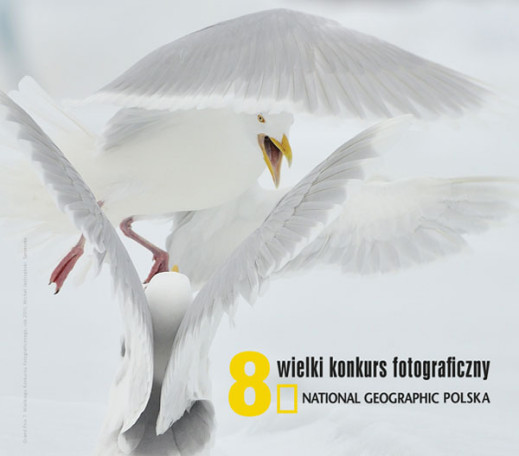 8. Wielki Konkurs Fotograficzny National Geographic