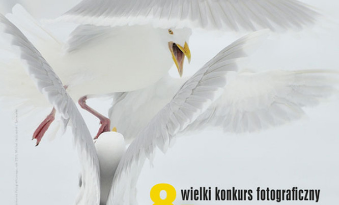 8. Wielki Konkurs Fotograficzny National Geographic