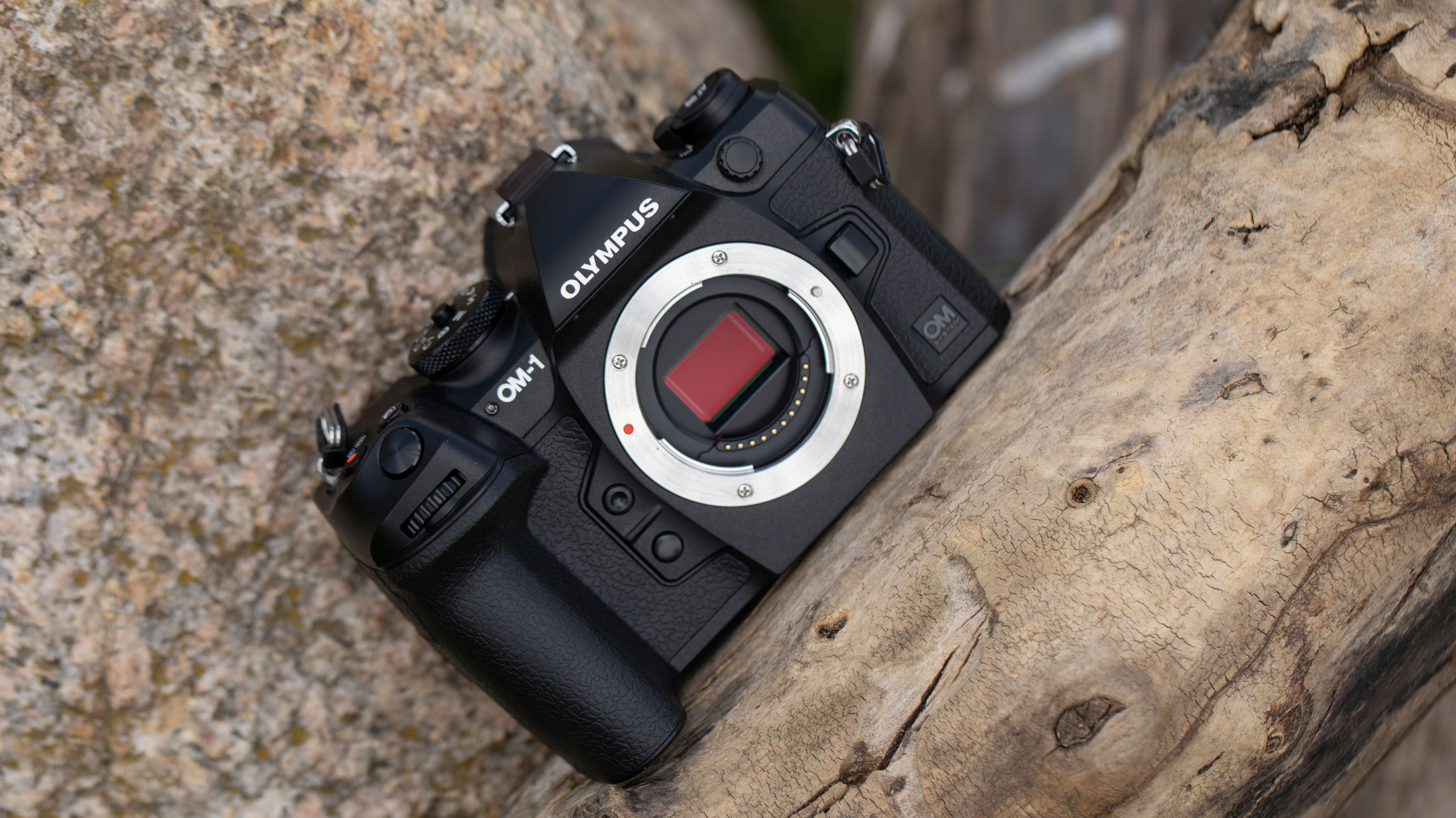 OM System OM-1 - test aparatu | Fotopolis.pl