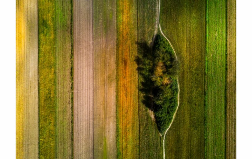Bartek Wierzbicki, Coloured Field, wyróżnienie w kategorii Nature