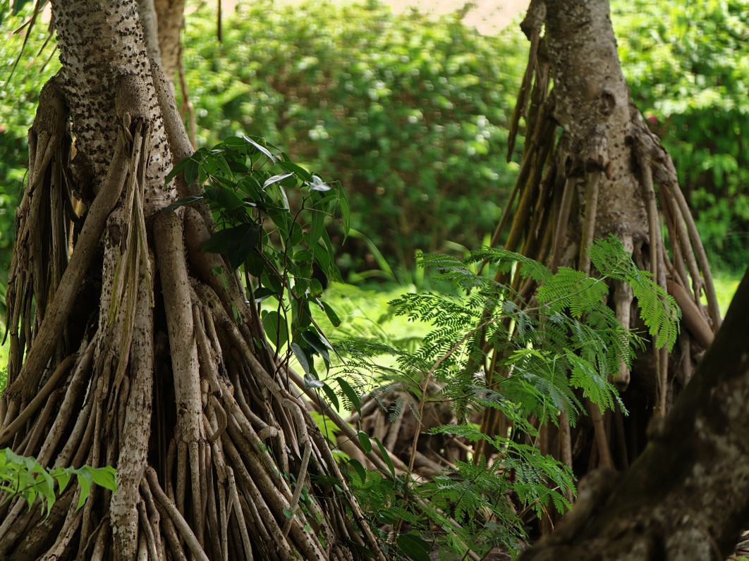 1/200 s, f/2.1, ISO 200, 16.5 mm