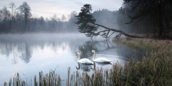Przetestuj obiektyw Tamron SP 15-30 mm f/2.8 DI VC USD - opinia Radosława Zelera