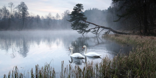 Przetestuj obiektyw Tamron SP 15-30 mm f/2.8 DI VC USD - opinia Radosława Zelera