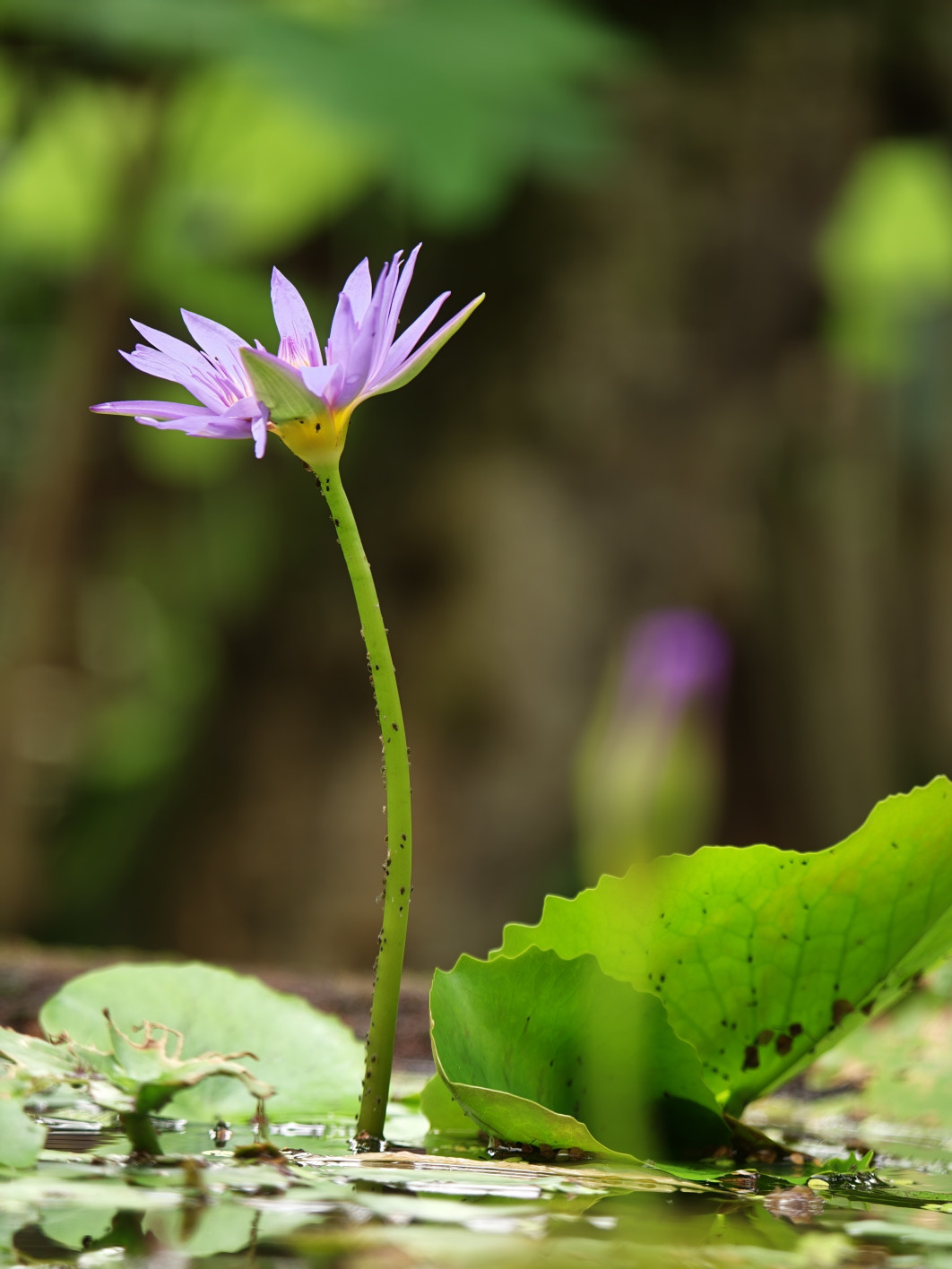 1/100 s, f/2.1, ISO 320, 16.5 mm