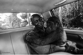 © Jo-Anne McArthur - Wildlife Photographer of the Year