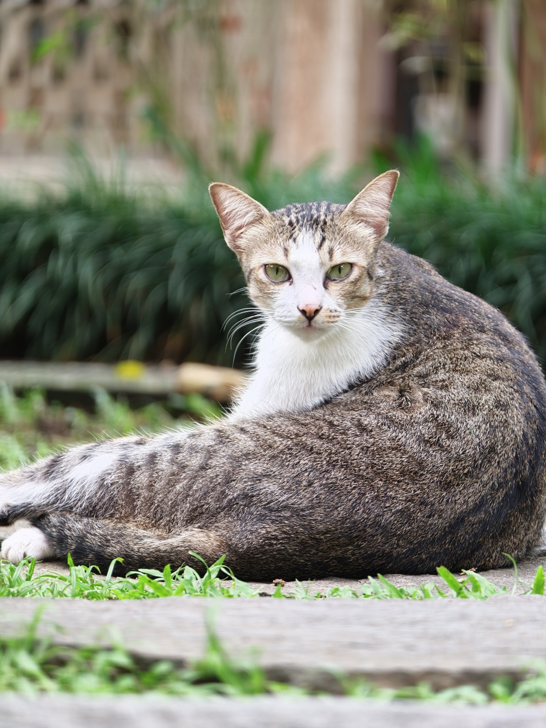 1/84 s, f/2.1, ISO 500, 16.5 mm