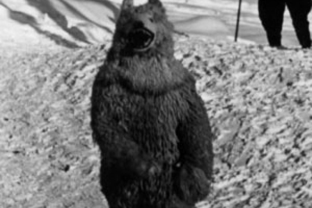 FotoSprint 2011 - bieg po najlepsze zdjęcia!