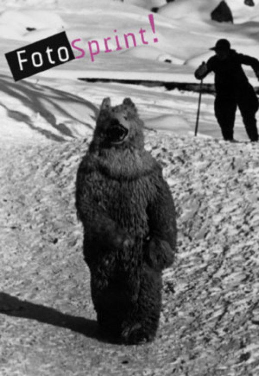 FotoSprint 2011 - bieg po najlepsze zdjęcia!