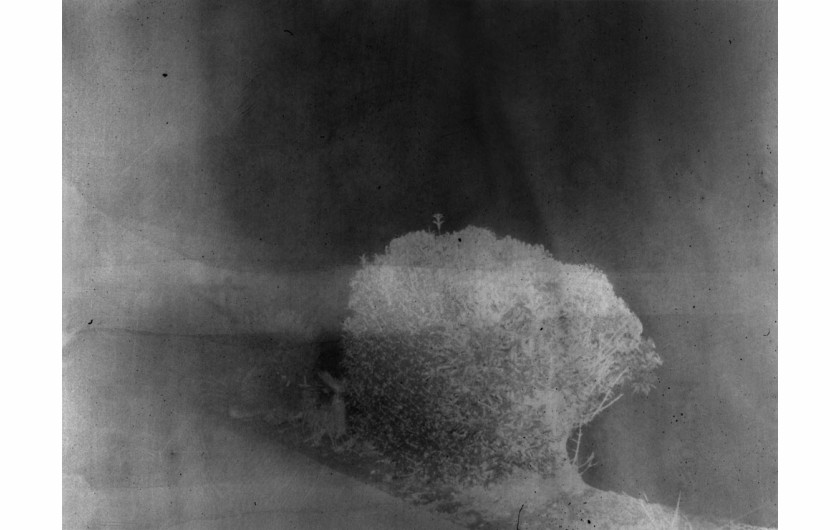 fot. Daisuke Yokota, z cyklu Nocturnes