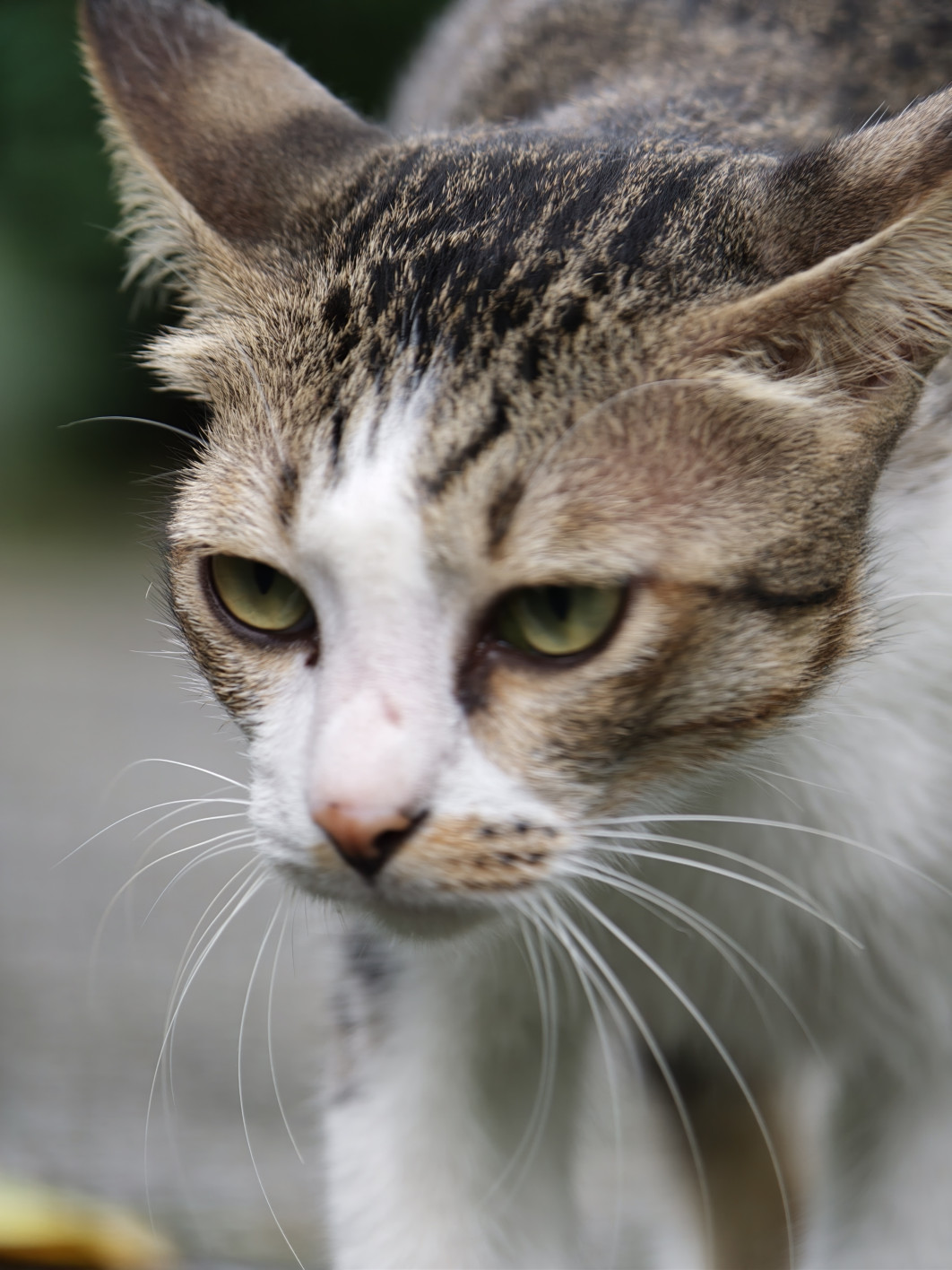 1/100 s, f/2.1, ISO 400, 16.5 mm