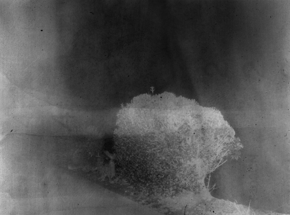 fot. Daisuke Yokota, z cyklu "Nocturnes"