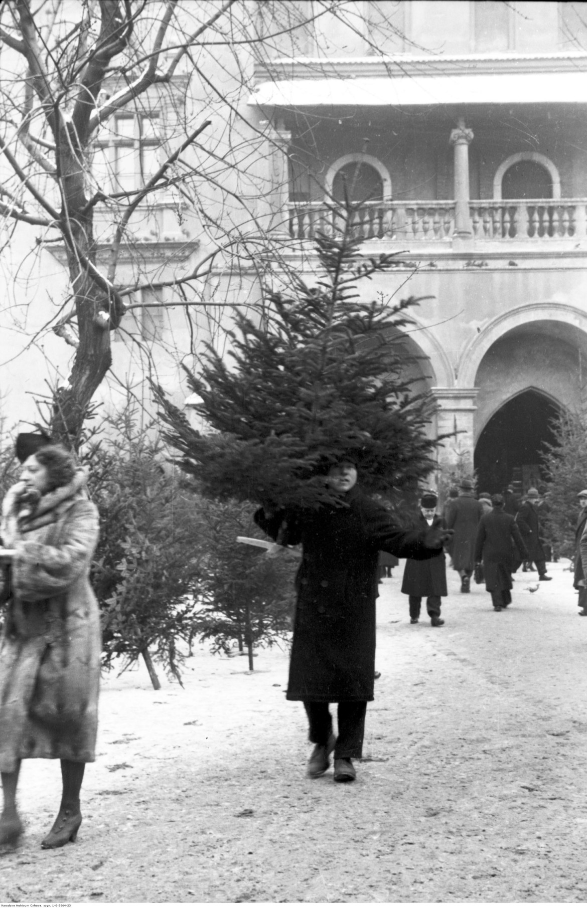 Sprzedawca choinek, Kraków, 1932 / Narodowe Archiwum Cyfrowe