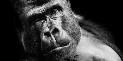“inHUMAN” Pawła Bogumiła w Leica Gallery Warszawa
