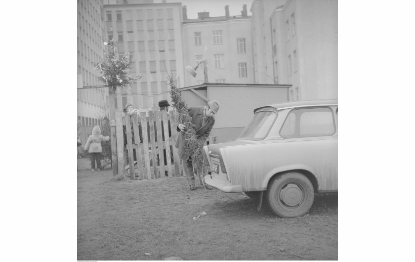 Punkt sprzedaży choinek na tyłach kamienicy przy ul. Śliskiej 52. Widoczny mężczyzna z choinką związaną sznurkiem i samochód Trabant 601, Warszawa, 1972