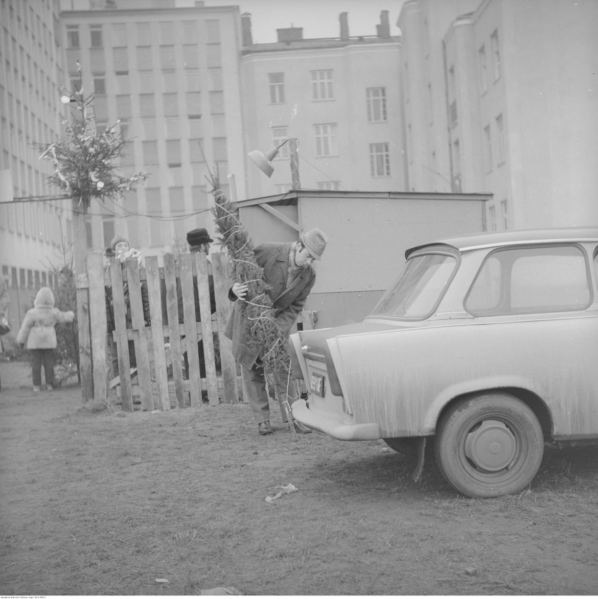 Punkt sprzedaży choinek na tyłach kamienicy przy ul. Śliskiej 52. Widoczny mężczyzna z choinką związaną sznurkiem i samochód Trabant 601, Warszawa, 1972