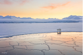 © Josh Anon - Wildlife Photographer of the Year