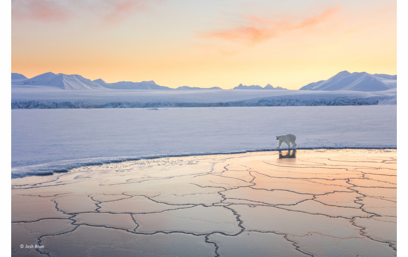 © Josh Anon - Wildlife Photographer of the Year