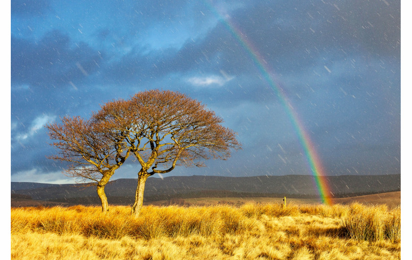 fot. Mat Robinson, Snowbow