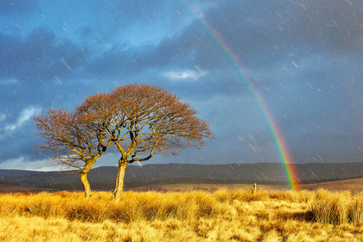 fot. Mat Robinson, Snowbow