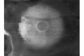 fot. Daisuke Yokota, z cyklu "Nocturnes"