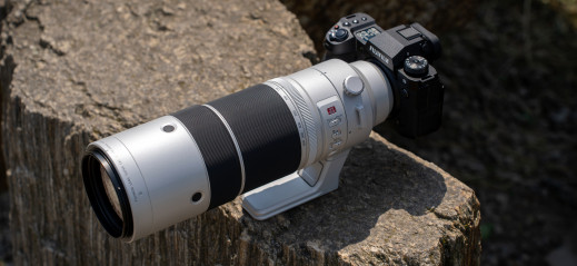 Fujifilm X-H2S + Fujifilm XF 150-600 mm f/5.6-8 LM OIS WR - pierwsze zdjęcia testowe [RAW]