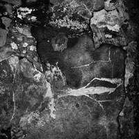 Debiut Darka Cichockiego w Galerii Artinfo.pl