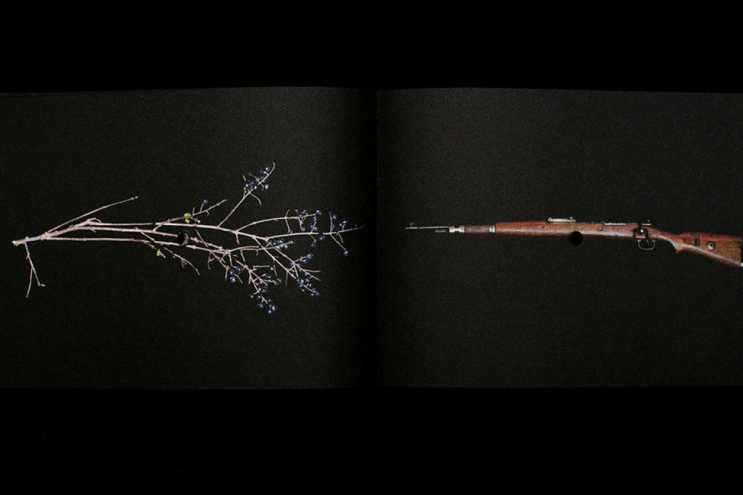 Photobook Talks #4 - Natalia Wiernik o książcę „Once a Year the Stick Shoots”